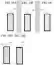 Fig. 07 - Electrochemical cell and exterior material provided therein