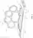 Fig. 06 - Grip for a mobile communication device