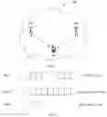 Fig. 02 - Communication method and communications apparatus