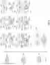 Fig. 06 - Methods and apparatus to configure and manage network resources for use in network-based computing