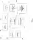 Fig. 02 - Wireless signal authentication via biometric pattern detection