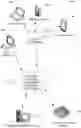 Fig. 01 - Automated preemptive polymorphic deception