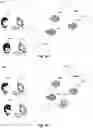 Fig. 07 - Automated preemptive polymorphic deception