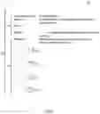 Fig. 04 - Application aware annotations in online collaborative sessions