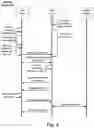 Fig. 05 - Platform agnostic peer-to-peer networking approach for utilizing multiple user devices with a digital platform