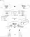 Fig. 01 - Systems and methods to improve network performance in wireless networks using user mobility patterns