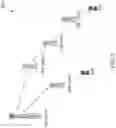 Fig. 03 - Method and apparatus for integrated access and backhaul node selection