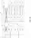 Fig. 06 - NON-CONTIGUOUS CHANNEL BONDING
