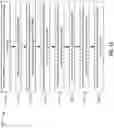 Fig. 13 - Alternative demodulation reference signal for repetitions of a random access response physical downlink control channel communication