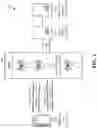 Fig. 02 - Establishing connections using multiple subscriber identity modules via a single communication link