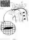 Fig. 03 - Agricultural harvesting machine with a monitoring assembly to sense harvested material flow in the agricultural harvesting machine