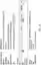 Fig. 43 - IMMUNOLOGICALLY COMPATIBLE CELLS, TISSUES, ORGANS, AND METHODS FOR TRANSPLANTATION FOR SILENCING, HUMANIZATION, AND PERSONALIZATION WITH MINIMIZED COLLATERAL GENOMIC DISRUPTIONS