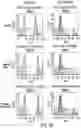 Fig. 63 - IMMUNOLOGICALLY COMPATIBLE CELLS, TISSUES, ORGANS, AND METHODS FOR TRANSPLANTATION FOR SILENCING, HUMANIZATION, AND PERSONALIZATION WITH MINIMIZED COLLATERAL GENOMIC DISRUPTIONS