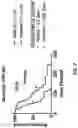 Fig. 04 - Complement Factor H Gene Knockout Rat as a Model of C3 Glomerulopathy