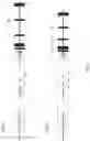 Fig. 02 - Humanized IL-6 and IL-6 receptor