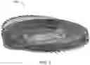 Fig. 04 - Collapsible fish trap with acoustic masking properties