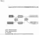 Fig. 02 - BIOLOGICAL-BASED CATALYST TO DELAY PLANT DEVELOPMENT PROCESSES