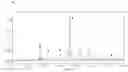 Fig. 06 - MICROBACTERIUM ESTERAROMATICUM STRAIN, COMPOSITION COMPRISING THE SAME, AND USES THEREOF