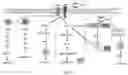 Fig. 14 - COMPOSITIONS AND METHODS FOR THE TREATMENT OF PATHOGENIC INFECTIONS IN PLANTS