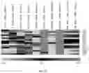 Fig. 15 - COMPOSITIONS AND METHODS FOR THE TREATMENT OF PATHOGENIC INFECTIONS IN PLANTS