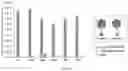 Fig. 17 - COMPOSITIONS AND METHODS FOR THE TREATMENT OF PATHOGENIC INFECTIONS IN PLANTS