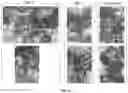 Fig. 20 - COMPOSITIONS AND METHODS FOR THE TREATMENT OF PATHOGENIC INFECTIONS IN PLANTS