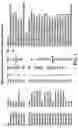 Fig. 02 - PHAGE DERIVED ANTIMICROBIAL ACTIVITIES