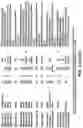 Fig. 03 - PHAGE DERIVED ANTIMICROBIAL ACTIVITIES
