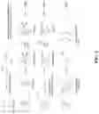 Fig. 03 - METHOD TO INHIBIT STORAGE BROWNING IN CHEESE