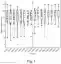 Fig. 02 - COMPOSITION FOR SUPPORTING ANIMAL WITH CANCER