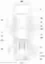 Fig. 04 - Atomizer and electronic atomization device
