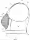 Fig. 03 - High impact and high support bras