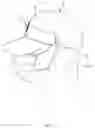 Fig. 08 - CAP WITH GLASSES HOLDER
