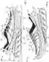 Fig. 02 - Footwear with stabilizing sole