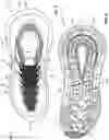 Fig. 03 - Footwear with stabilizing sole