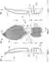 Fig. 03 - Article of footwear having a sole plate