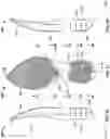 Fig. 22 - Article of footwear having a sole plate