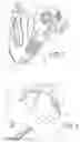 Fig. 04 - Method concerning the application of a sole obtained bending the edges of a flat non-trimmed sole on an upper for obtaining a shoe and a thus obtained shoe