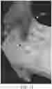 Fig. 07 - Takeout food container
