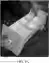 Fig. 09 - Takeout food container