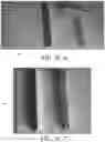 Fig. 64 - Takeout food container