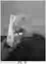 Fig. 80 - Takeout food container
