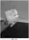 Fig. 83 - Takeout food container