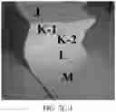 Fig. 86 - Takeout food container