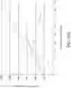 Fig. 34 - ANALYTE SENSOR