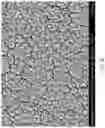 Fig. 76 - METAL PILLAR DEVICE STRUCTURES AND METHODS FOR MAKING AND USING THEM IN ELECTROCHEMICAL AND/OR ELECTROCATALYTIC APPLICATIONS