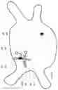 Fig. 07 - Computer implemented method and system for aiding mapping heart rhythm abnormalities