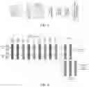 Fig. 05 - MOTOR IMAGERY ELECTROENCEPHALOGRAM SIGNAL PROCESSING METHOD, DEVICE, AND STORAGE MEDIUM