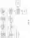 Fig. 06 - Brain Activation Matching