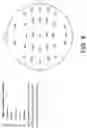 Fig. 09 - Brain Activation Matching